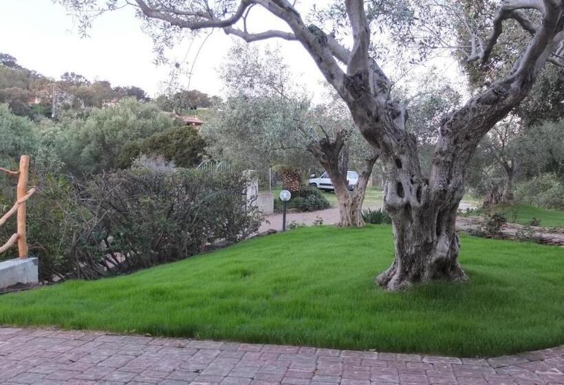 مبيت وإفطار Suite Cucinino, Bagno, Ingresso Indipendente In Villa Vìvì