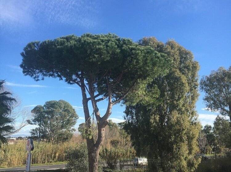 فندق Exagon Flower