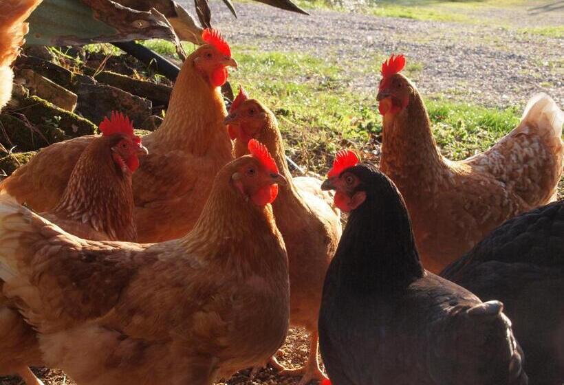 בית מלון כפרי Agriturismo La Roverella