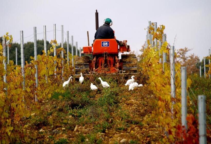 בית מלון כפרי Agriturismo La Roverella
