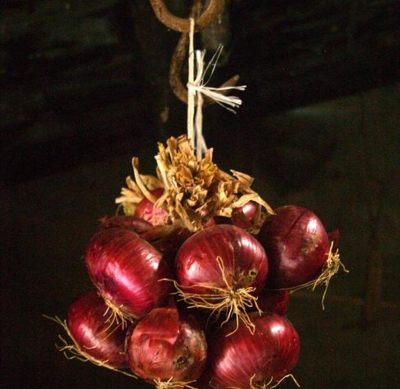 בית מלון כפרי Agriturismo La Roverella