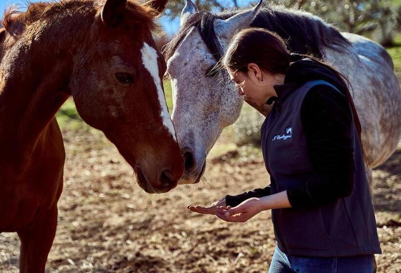 교외 호텔 Az.agr. Il Cavalleggero