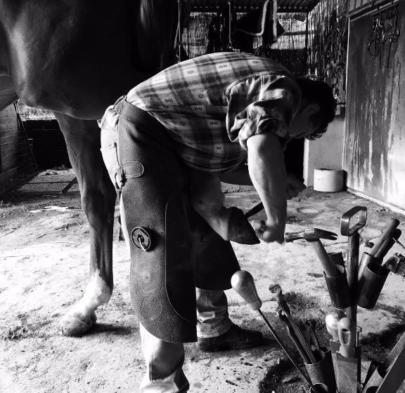 교외 호텔 Az.agr. Il Cavalleggero