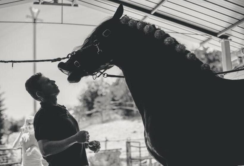 교외 호텔 Az.agr. Il Cavalleggero