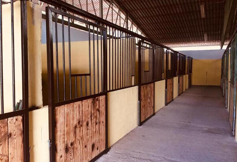 교외 호텔 Az.agr. Il Cavalleggero