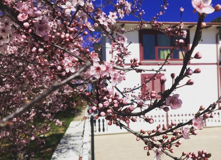 Il Profumo Della Natura B&b