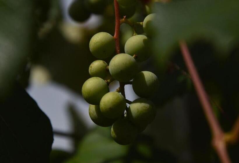 La Rocca Mia House B&b