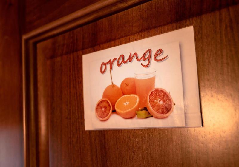 ペンション Casa Stefy