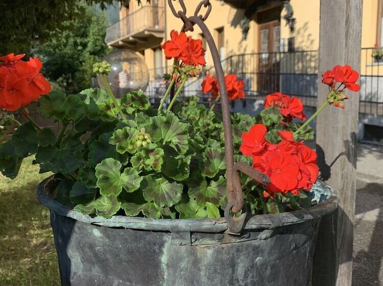 R.t.a. Hotel Monte Rosa