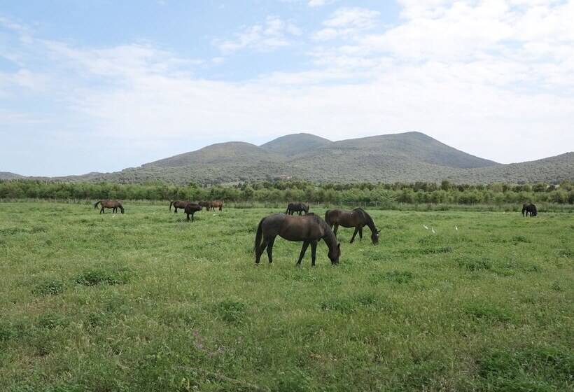 Tuscany Working Hostel