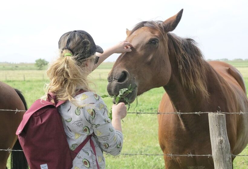 Tuscany Working Hostel