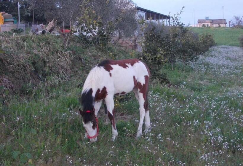 Agriturcostabaira