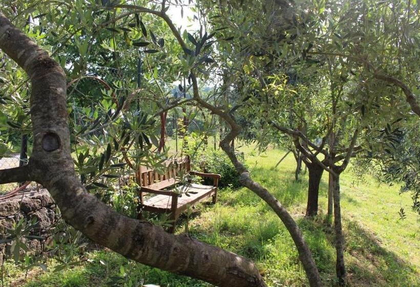 Agriturismo Angio Nel Cere