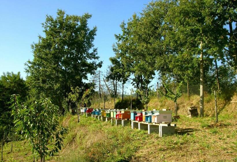 Agriturismo Angio Nel Cere