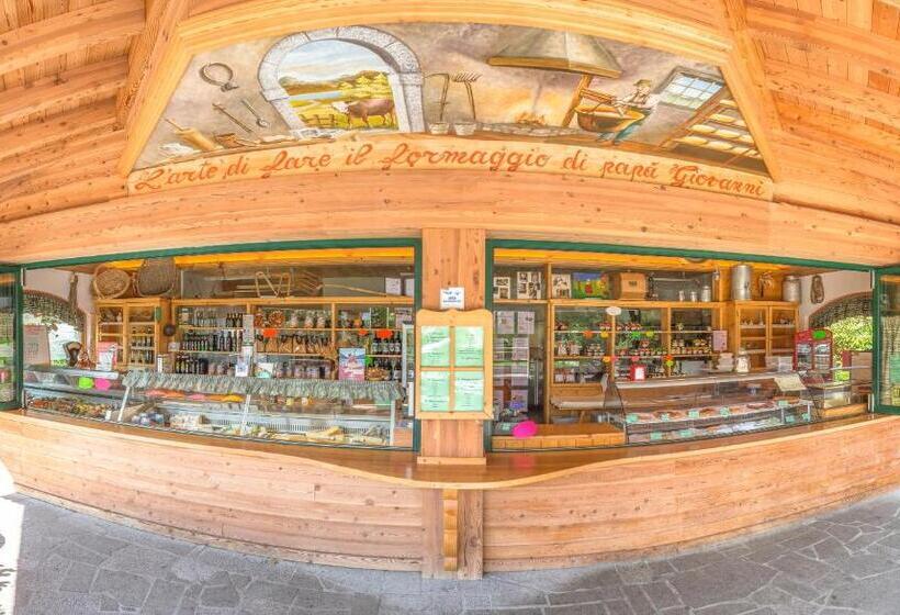 B&b Dalla Fattoria Della Patty