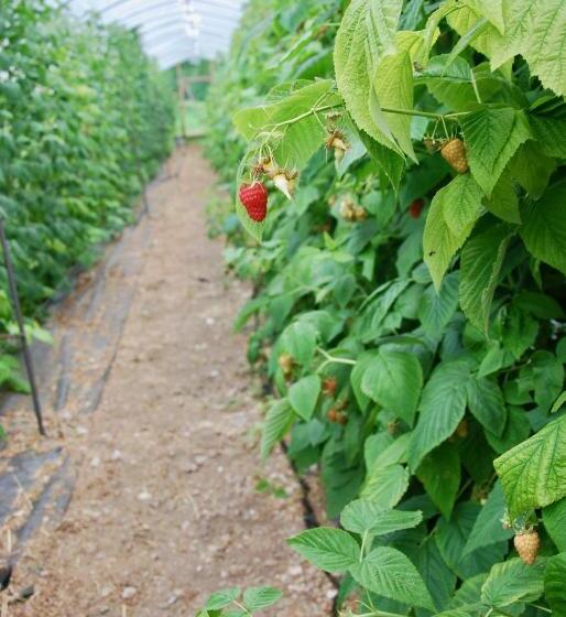 B&b Dalla Fattoria Della Patty