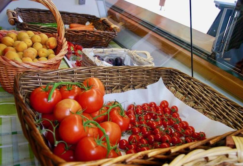 B&b Dalla Fattoria Della Patty