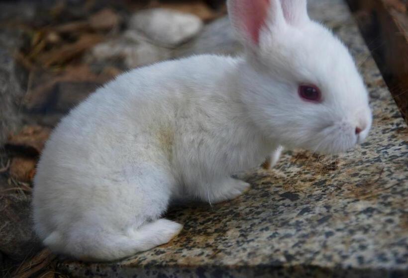 B&b Dalla Fattoria Della Patty