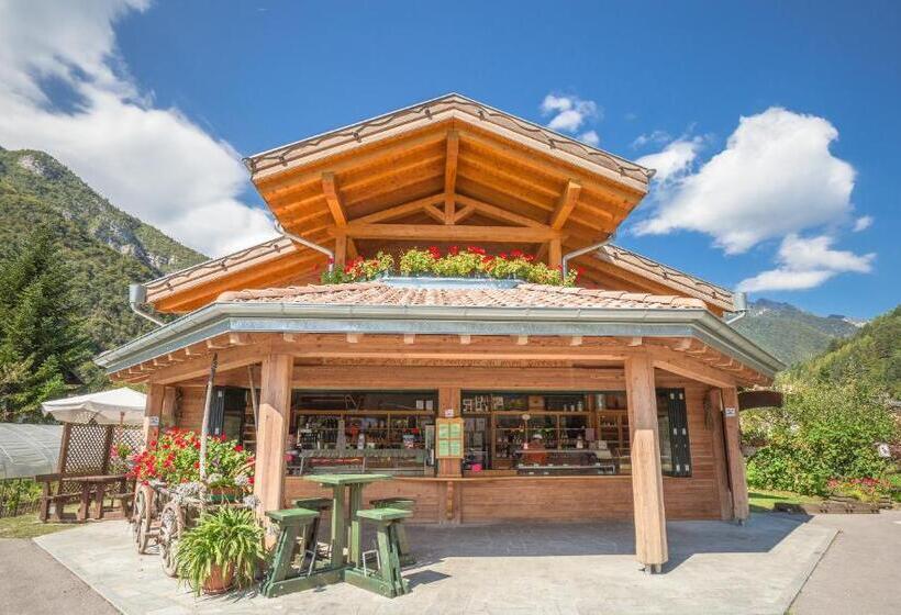 B&b Dalla Fattoria Della Patty