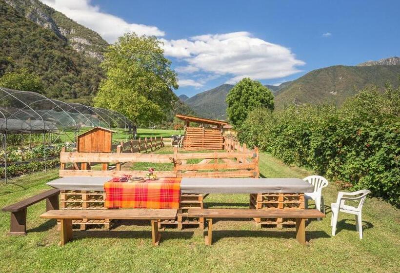 B&b Dalla Fattoria Della Patty