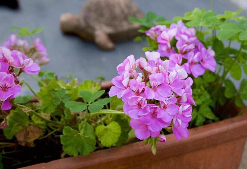 Al Guado Di Assisi B&b