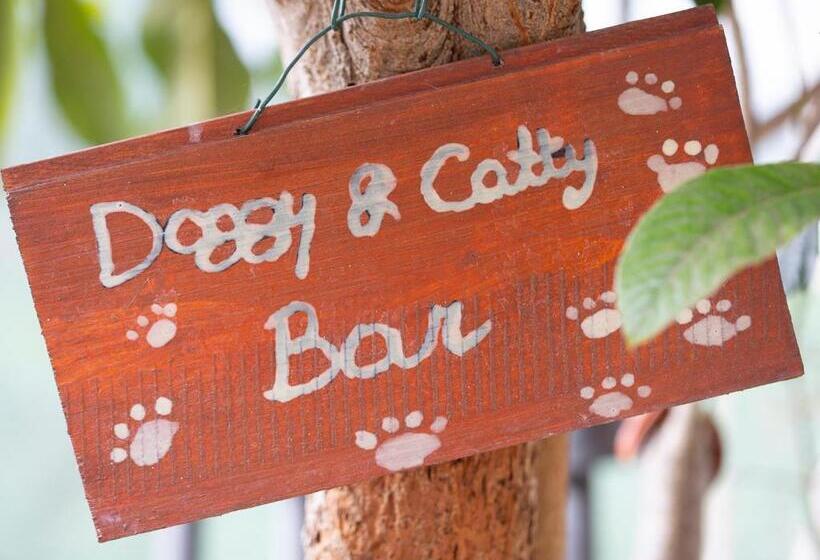 Al Guado Di Assisi B&b