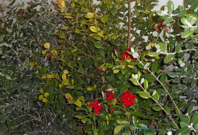 צימר Alma Salento