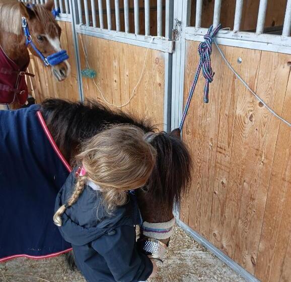 مبيت وإفطار Fattoria La Tana Della Volpe