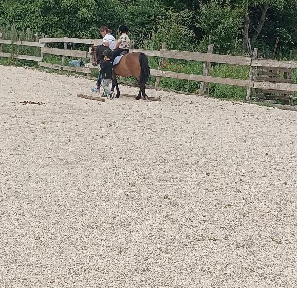 مبيت وإفطار Fattoria La Tana Della Volpe