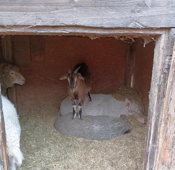 مبيت وإفطار Fattoria La Tana Della Volpe