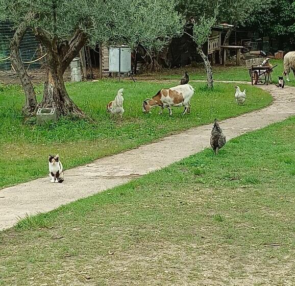 مبيت وإفطار Fattoria La Tana Della Volpe