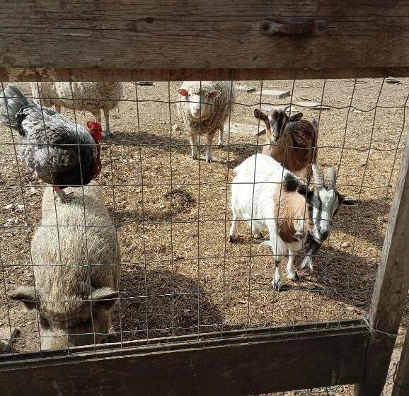 مبيت وإفطار Fattoria La Tana Della Volpe