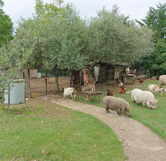 مبيت وإفطار Fattoria La Tana Della Volpe