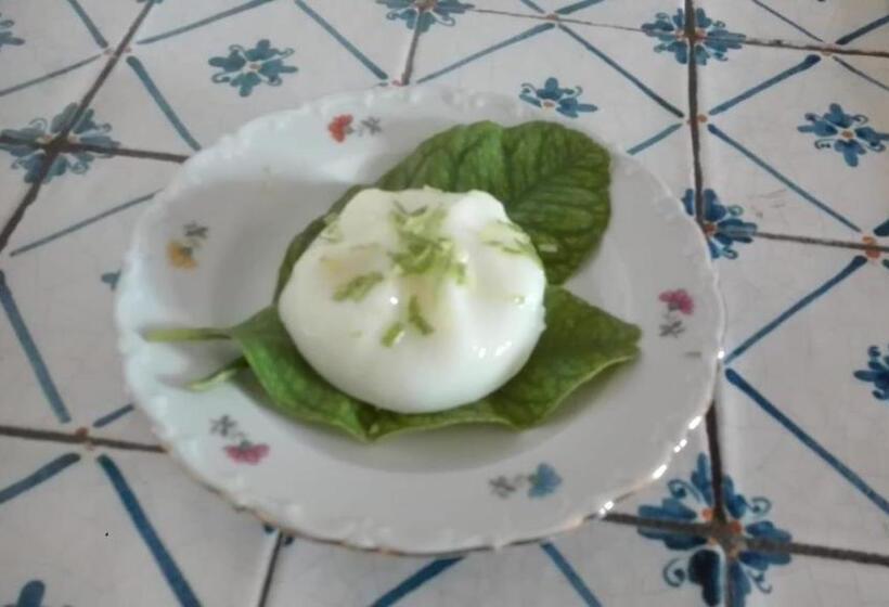 تختخواب و صبحانه La Casa Del Gelsomino