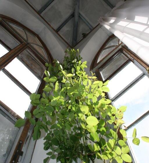 민박 La Torre Di Pieve