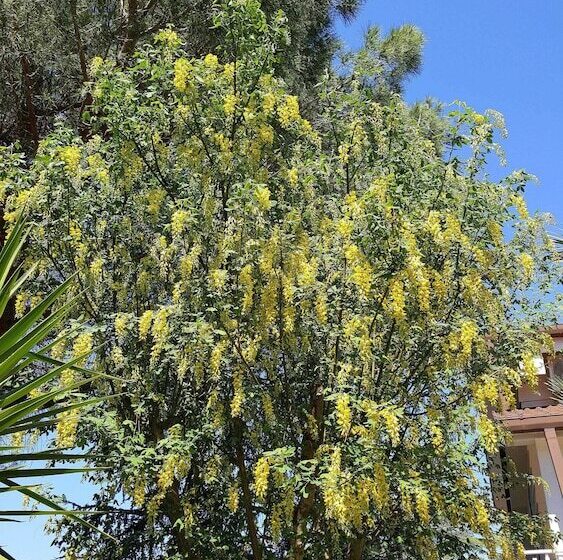 住宿加早餐  Le Mansarde
