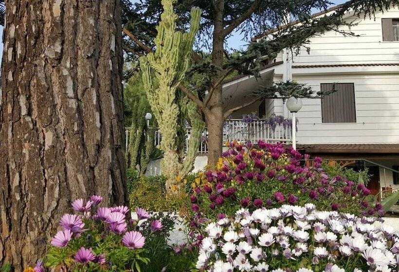 住宿加早餐  Le Mansarde