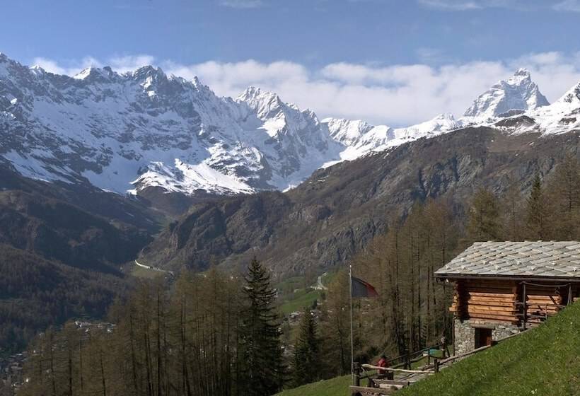 住宿加早餐  Le Petit Nid