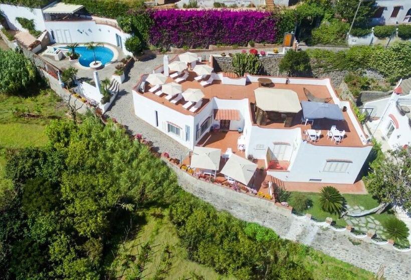 צימר Villa Araucaria