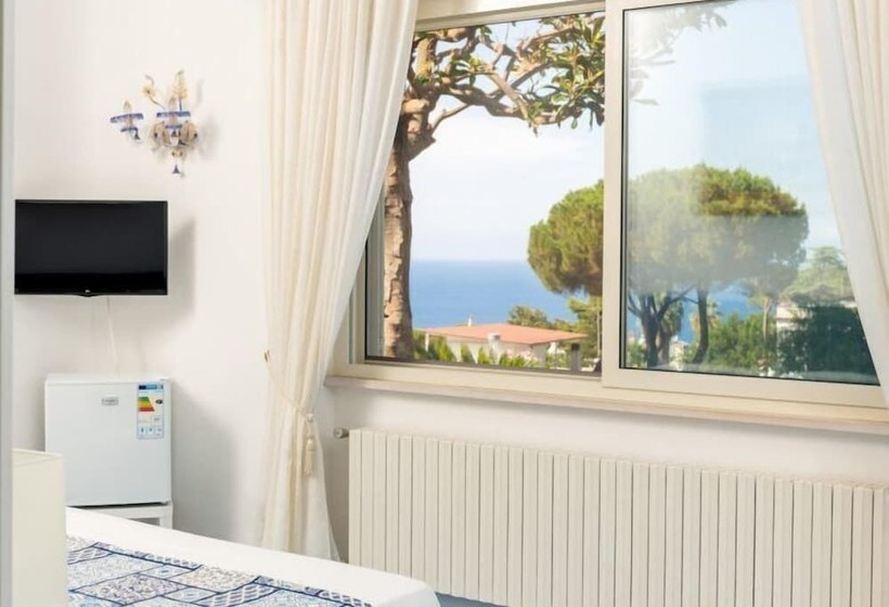 צימר Villa Araucaria