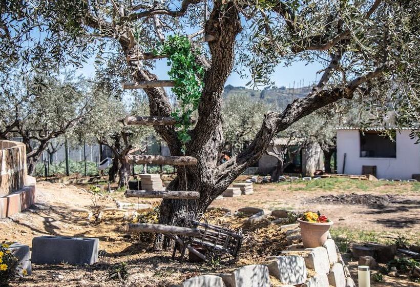 Bed and Breakfast Villa Paola