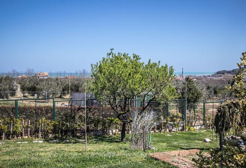 Bed and Breakfast Villa Paola