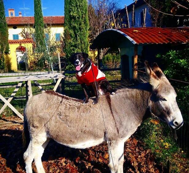Cascina Corteprimavera, B&b Del Baliot