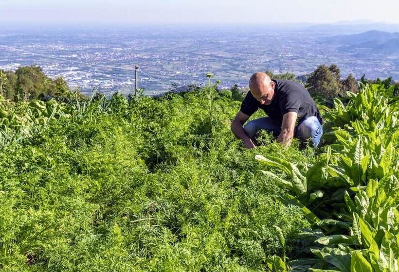 Damarco Alloggio Turistico Locanda