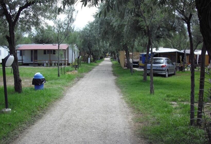 ホテル Maronda Camping