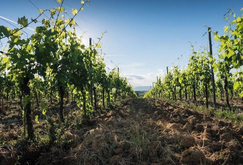 교외 호텔 Agriturismo Casetta I