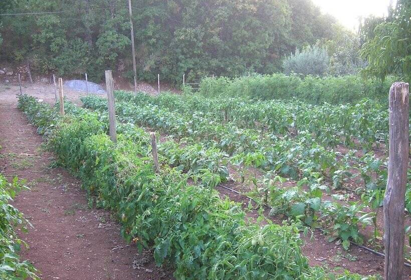 Сельский отель Agriturismo Civarra