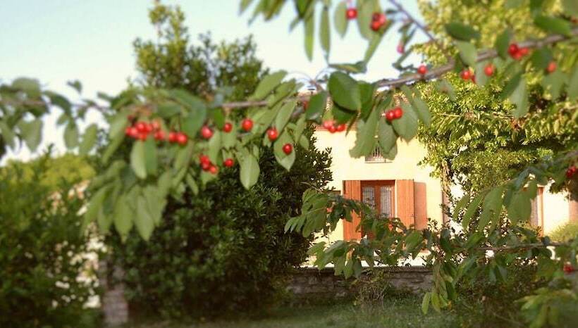 Сельский отель Agriturismo Collina Dei Fagiani