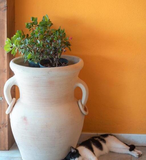 בית מלון כפרי Cuaddus E Tellas