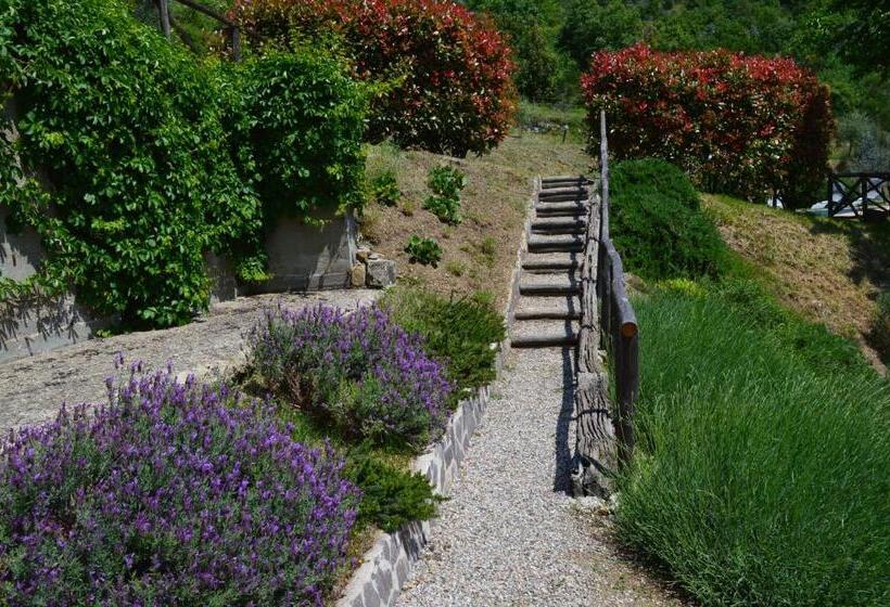 בית מלון כפרי Agriturismo Podere Terrena